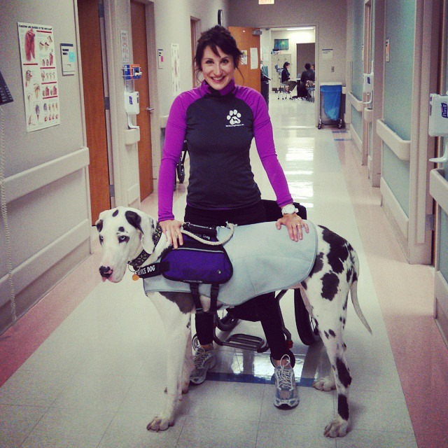 Service Dog Project Inc nonprofit in Ipswich, MA Volunteer, Read Reviews, Donate GreatNonprofits