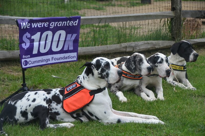 Service Dog Project Inc nonprofit in Ipswich, MA Volunteer, Read Reviews, Donate GreatNonprofits