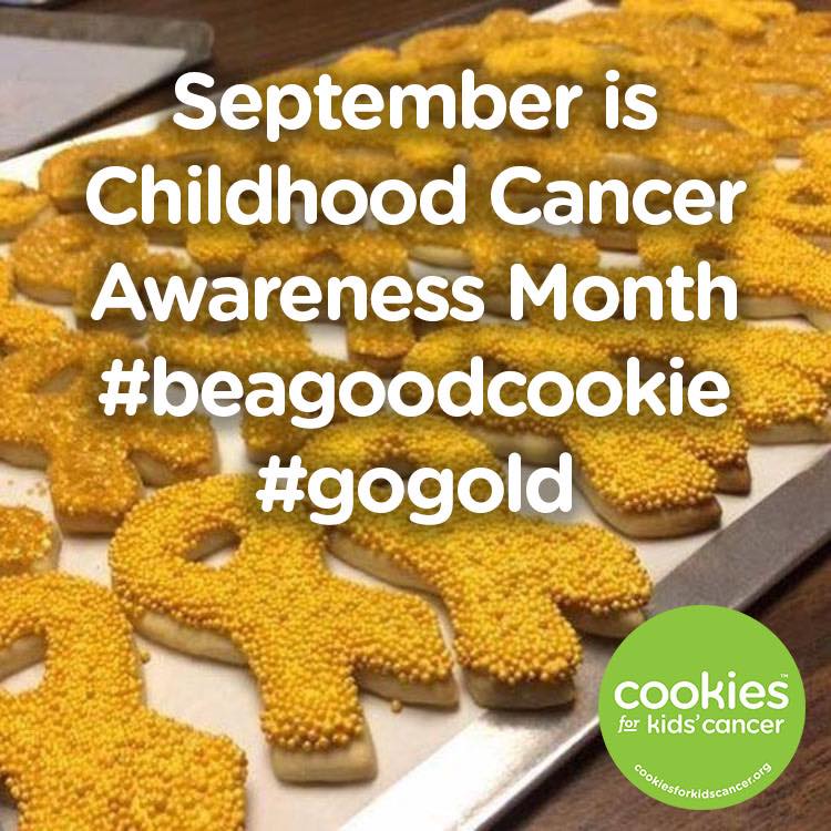 Cookies for Kids Cancer nonprofit in Califon, NJ Volunteer, Read