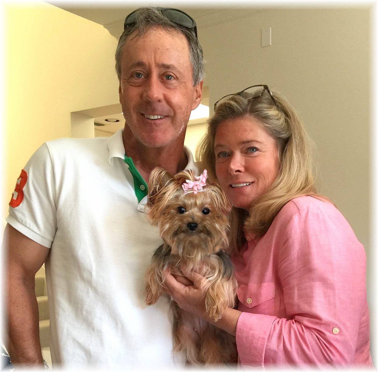 yorkie rescue florida florida yorkie rescue inc nonprofit in palm city fl volunteer read reviews yorkie rescue florida florida yorkie rescue inc nonprofit in palm city fl volunteer read reviews