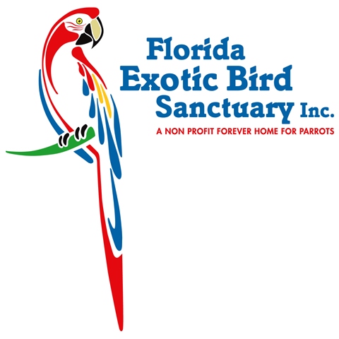 florida exotic bird sanctuary inc nonprofit in hudson fl florida exotic bird sanctuary inc nonprofit in hudson fl