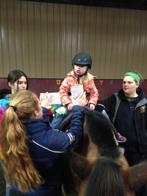 Pegasus Therapeutic Riding Academy, Inc. nonprofit in Philadelphia, PA