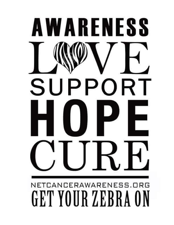 Neuroendocrine Cancer Awareness Network Inc nonprofit in Fort Mill, SC