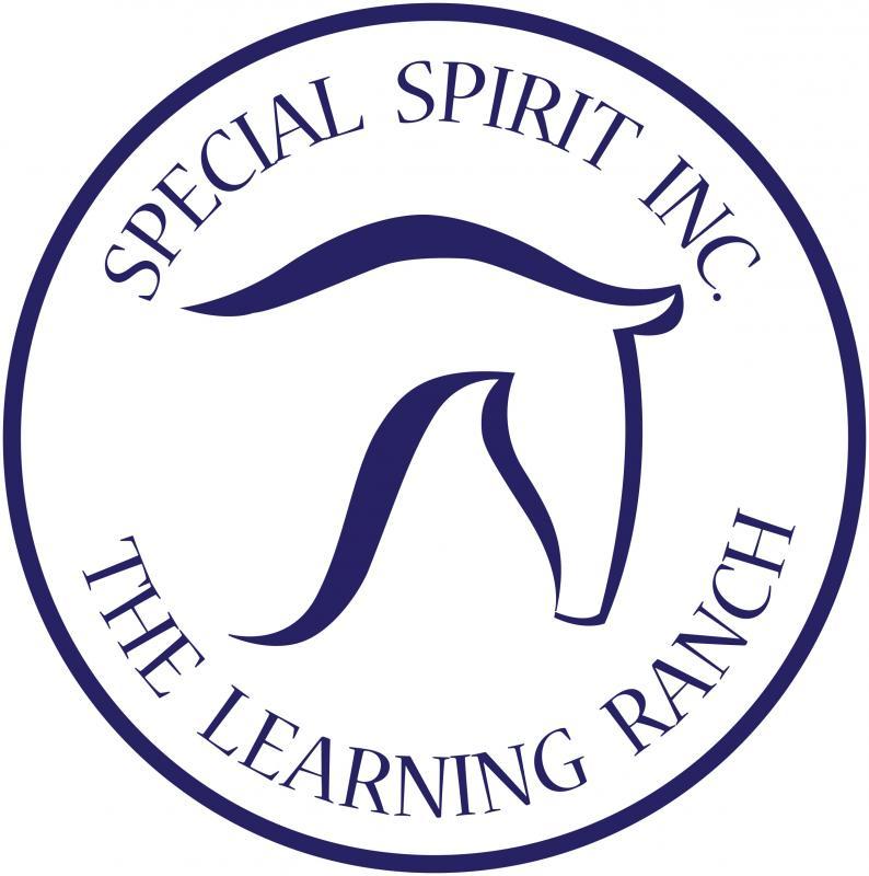 SPECIAL SPIRIT INC Logo