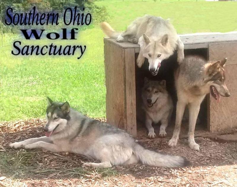 SOUTHERN OHIO WOLF SANCTUARY, Inc. nonprofit in Chesapeake, OH