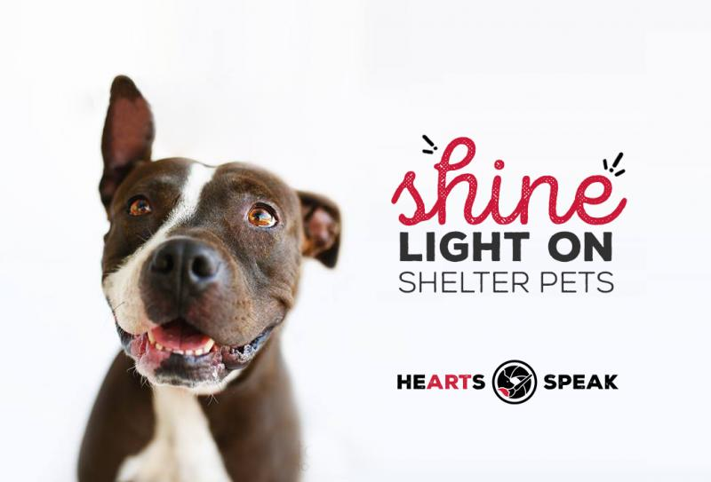 Hearts Speak Inc. Logo