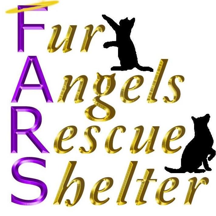 Fur Angels Rescue Shelter Logo