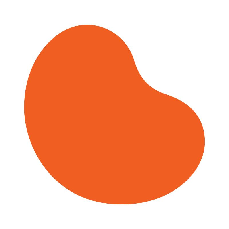 National Kidney Foundation Inc Logo