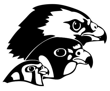 Talking Talons Youth Leadership Logo