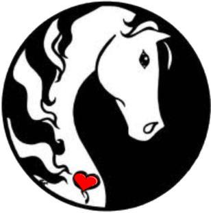 Equus Medendi Inc Logo
