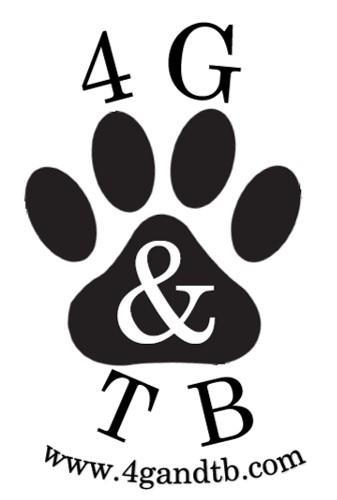 4G & TB Logo
