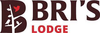 What Would Bri Do Inc Logo