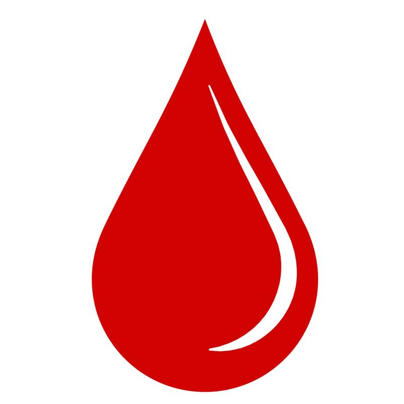 Never Forget The Blood Logo