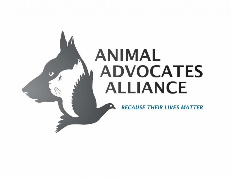 ANIMAL ADVOCATES ALLIANCE Logo