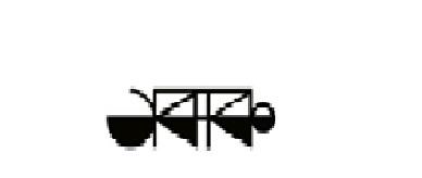 ACADEMY OF BANGLA ARTS AND CULTURE Logo