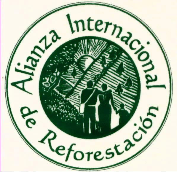 Image result for air guatemala reforestation