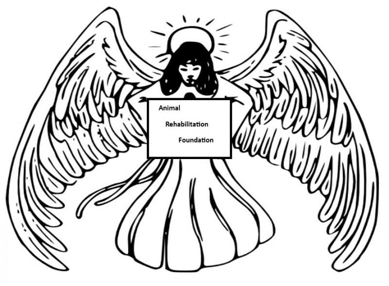 Animal Rehabilitation Foundation Logo