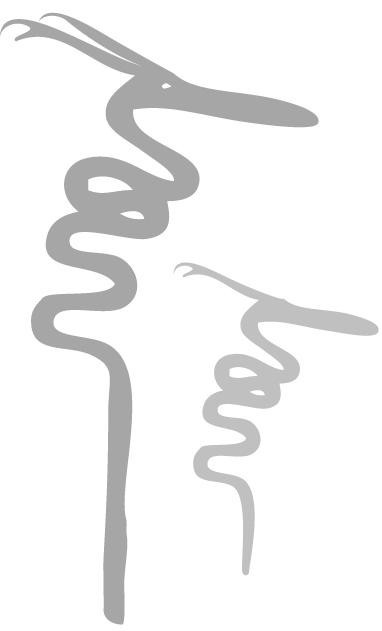 Animal Zone International Inc Logo