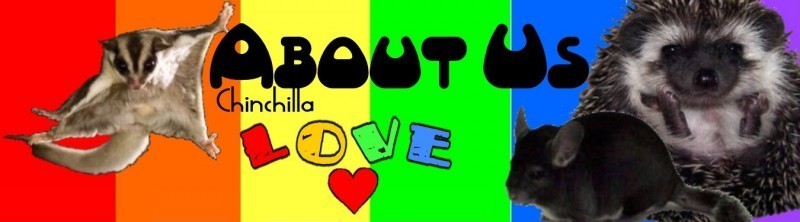 Chinchillalove Small Animal and Exotics Rescue Logo