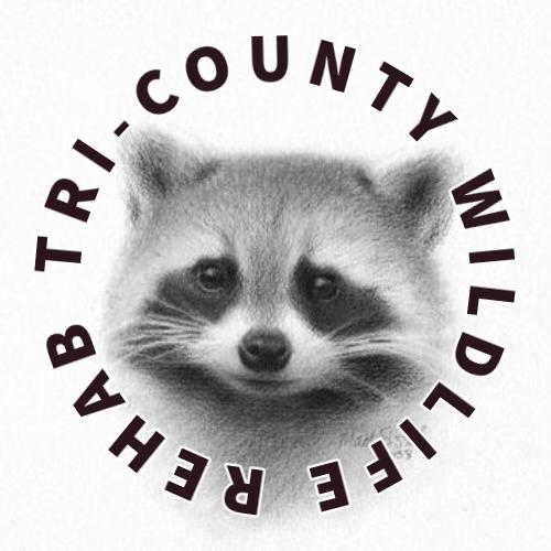 Tri-County Wildlife Rehab Logo