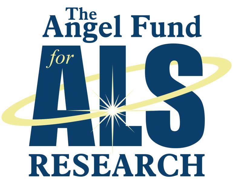 ANGEL FUND INC Logo