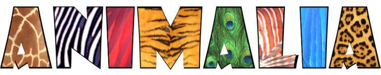 Animalia Logo