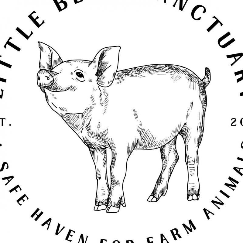 Little Bear Sanctuary Inc Logo