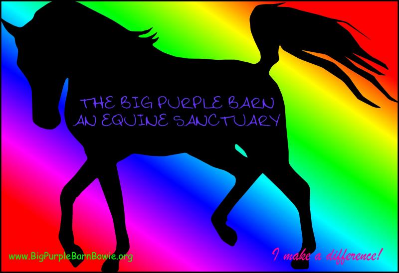 The Big Purple Barn, Inc Logo