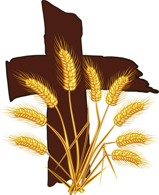 Bountiful Harvest Ministries Inc Logo