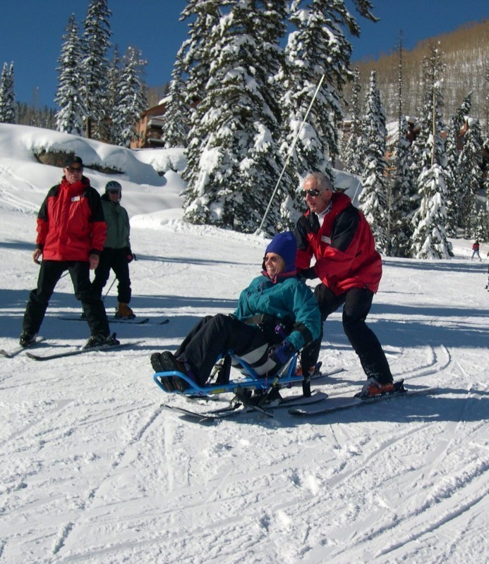 Disabled Sports USA Logo