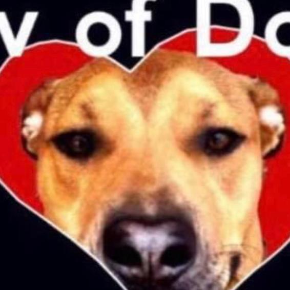 Luv Of Dogz Fund Inc Logo