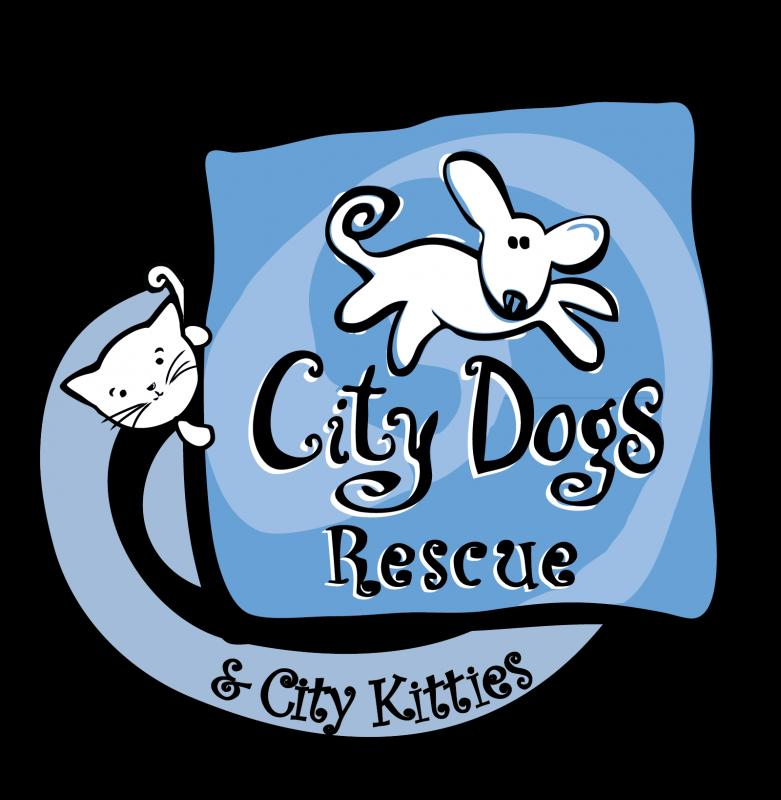 city kitties rescue