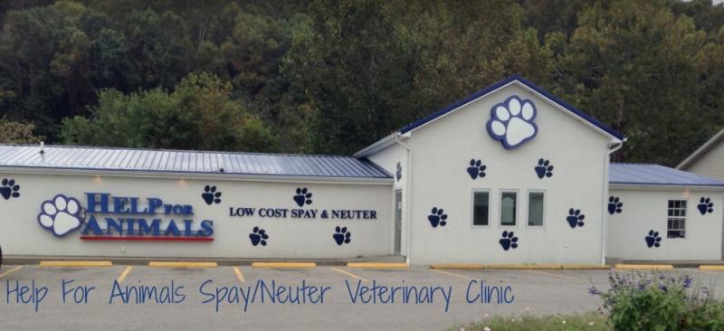 HELP FOR ANIMALS INC Logo
