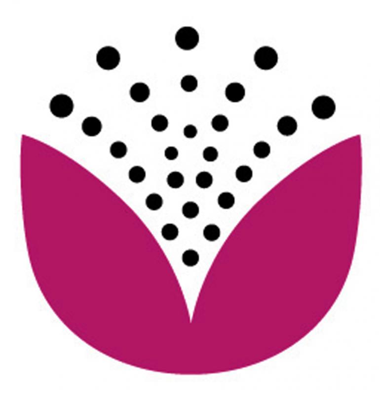 CAPITAL REGION COMMUNITY FOUNDATION Logo