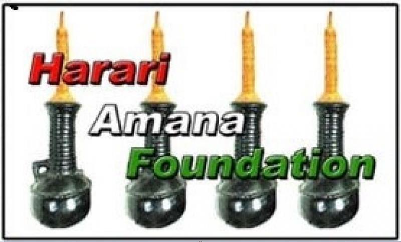 Harari Amana Foundation Inc Logo