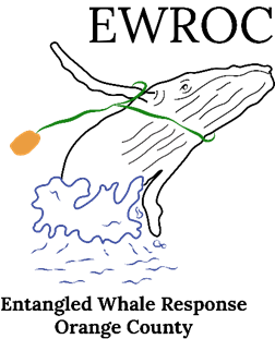 Entangled Whale Response of Orange County Logo