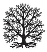 Plymouth Intergenerational Coalition Ltd Logo