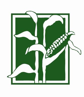 Salvadorean Humanitarian Aid Researc & Educ the Share Fdn Logo