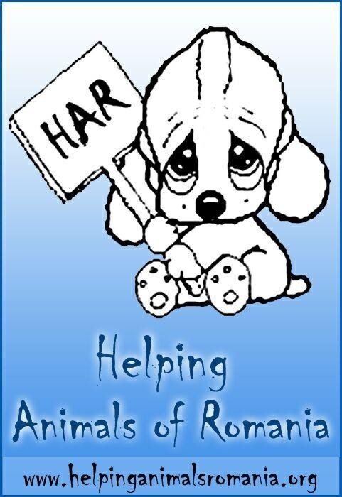 HAR Animal Welfare Organization Logo