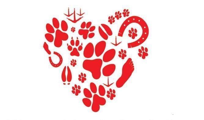 Hearts for Animals Inc Logo