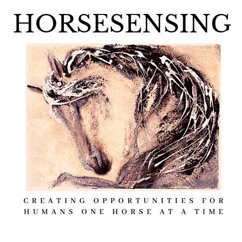 Horsesensing Inc Logo
