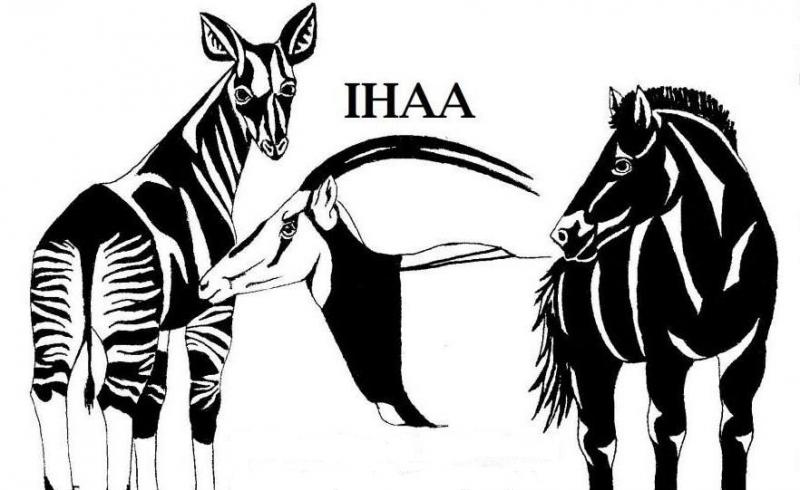 International Hoofstsock Awareness Association Logo