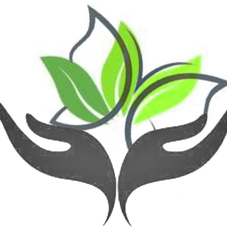 Anew Life International Inc Logo