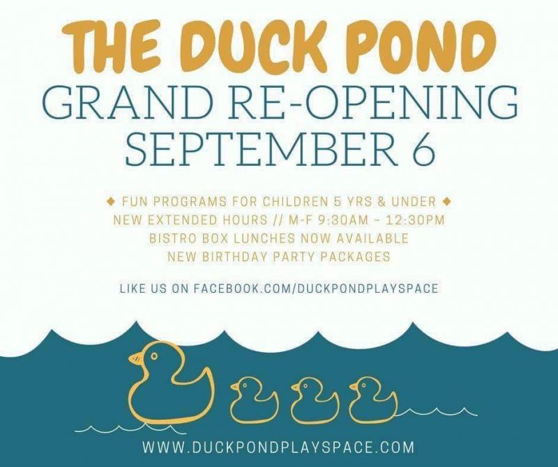 Duck Pond Playspace Logo