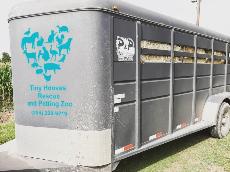 Tiny Hooves Rescue and Petting Zoo Logo