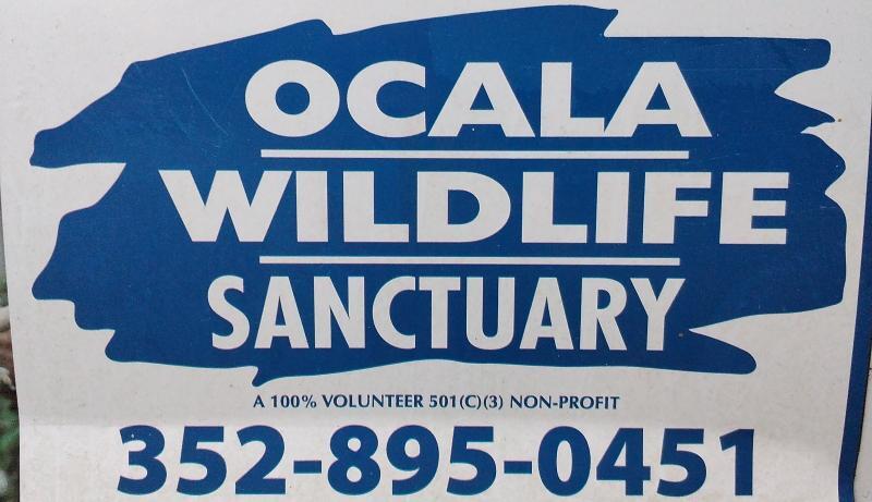 Owl Ocala Inc Logo