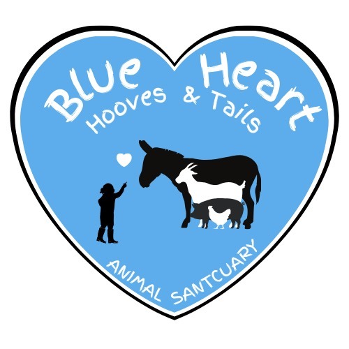 Blue heart hooves and tails animal sanctuary Logo