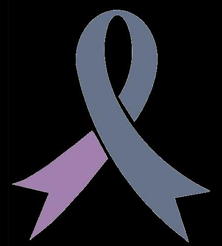 Lissencephaly Foundation Inc Logo
