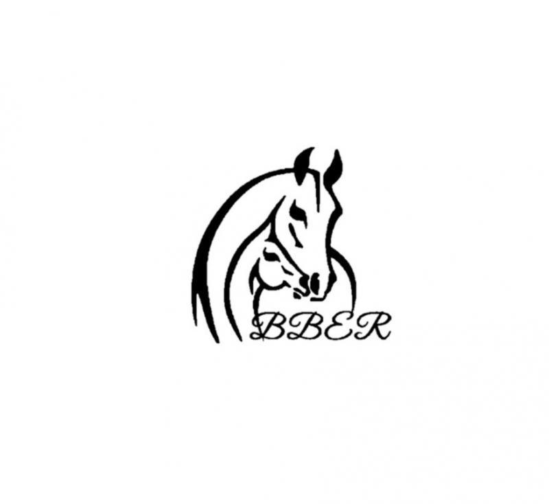 Baby Bluebonnet Equine Rescue Logo