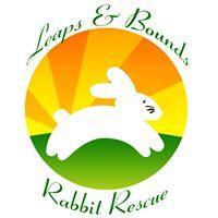 Leaps & Bounds Rabbit Rescue Inc Logo